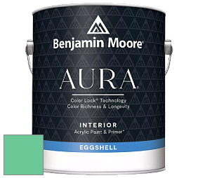 Benjamin Moore Aura 524 Waterborne Interior Eggshell Finish краска цвет NCS S 1050-G 