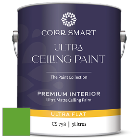 COLOR SMART CS 758 ULTRA CEILING PAINT ультраматовая краска цвет 2032-20 Traffic Light Green