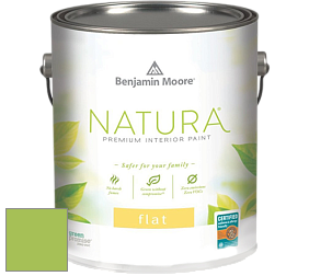 Benjamin Moore 512 Natura Interior Flat Finish матовая краска цвет 419 Malachy Green