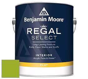Benjamin Moore 547 Regal Select Waterborne Interior Flat Finish краска цвет NCS S 1075-G40Y 