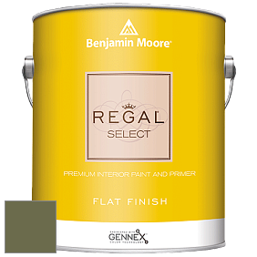 Benjamin Moore 547 Regal Select Waterborne Interior Flat Finish краска цвет 2144-10 Guacamole