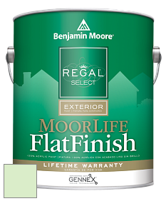 Benjamin Moore W105 Regal Select Exterior Paint-MoorLife Flat Finish краска цвет 2032-60 Citra Lime