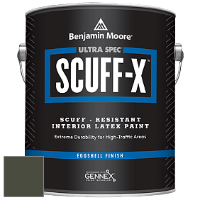 Benjamin Moore 485 Ultra Spec SCUFF-X Interior Eggshell Finish краска цвет NCS S 8010-G50Y 