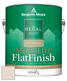 Benjamin Moore W105 Regal Select Exterior Paint-MoorLife Flat Finish краска цвет AF-250 