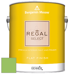 Benjamin Moore 547 Regal Select Waterborne Interior Flat Finish краска цвет NCS S 1060-G30Y 