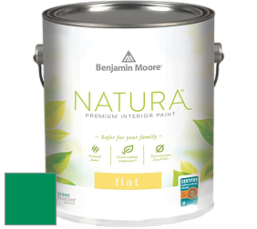 Benjamin Moore 512 Natura Interior Flat Finish матовая краска цвет NCS S 2565-G 
