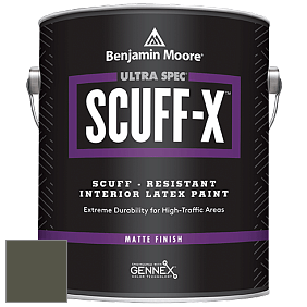 Benjamin Moore 484 Ultra Spec SCUFF-X Interior Matte Finish краска цвет RAL 7013 