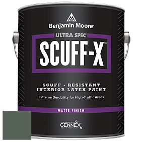 Benjamin Moore 484 Ultra Spec SCUFF-X Interior Matte Finish краска цвет NCS S 7010-G10Y 