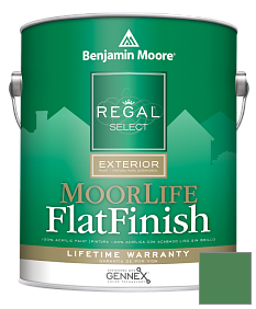 Краска Regal Select Exterior Paint-MoorLife Flat Finish (W105) цвет 2035-30 Nile Green