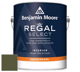 Benjamin Moore 550 Regal Select Waterborne Interior Pearl Finish краска цвет NCS S 6530-G50Y 