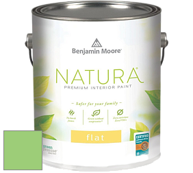 Benjamin Moore 512 Natura Interior Flat Finish матовая краска цвет 2032-40 Citrus Green