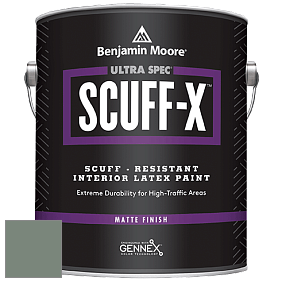 Benjamin Moore 484 Ultra Spec SCUFF-X Interior Matte Finish краска цвет NCS S 5010-G10Y 