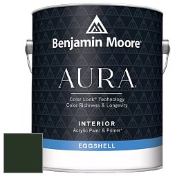 Benjamin Moore Aura 524 Waterborne Interior Eggshell Finish краска цвет RAL 6007 