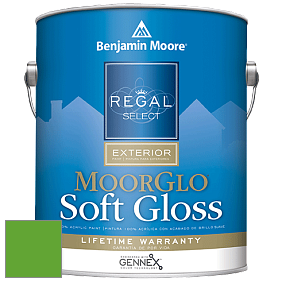 Benjamin Moore W096 Regal Select Exterior Paint-Moor GloSoft Gloss Finish краска цвет 2032-20 Traffic Light Green
