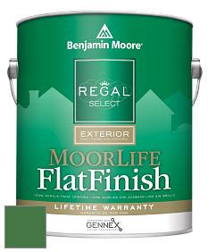 Benjamin Moore W105 Regal Select Exterior Paint-MoorLife Flat Finish краска цвет 2035-20 Cactus Green
