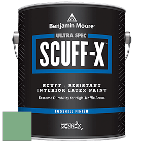 Benjamin Moore 485 Ultra Spec SCUFF-X Interior Eggshell Finish краска цвет 2035-40 Stokes Forest Green