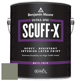 Benjamin Moore 484 Ultra Spec SCUFF-X Interior Matte Finish краска цвет NCS S 5010-G50Y 