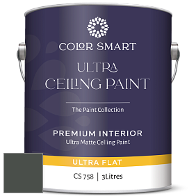 COLOR SMART CS 758 ULTRA CEILING PAINT ультраматовая краска цвет NCS S 8005-G20Y 