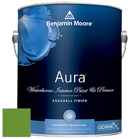Benjamin Moore Aura 524 Waterborne Interior Eggshell Finish краска цвет NCS S 2075-G30Y 