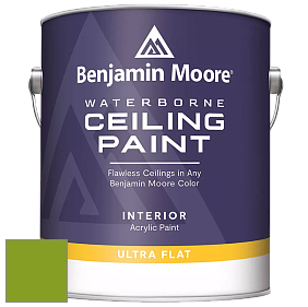 Benjamin Moore 508 Waterborne Ceiling Paint краска для потолков цвет 2028-10 Iguana Green
