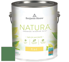 Benjamin Moore 512 Natura Interior Flat Finish матовая краска цвет 2036-20 Irish Moss