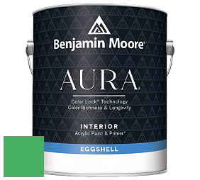 Benjamin Moore Aura 524 Waterborne Interior Eggshell Finish краска цвет NCS S 1070-G10Y 