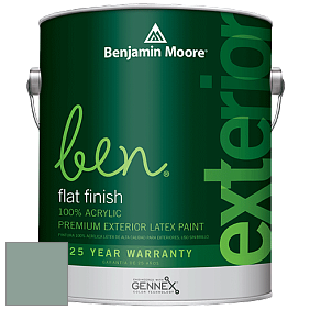 Benjamin Moore Ben 541 Waterborne Exterior Flat Finish краска цвет AF-495 