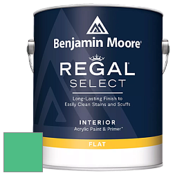 Benjamin Moore 547 Regal Select Waterborne Interior Flat Finish краска цвет NCS S 1060-G 