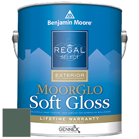 Benjamin Moore W096 Regal Select Exterior Paint-Moor GloSoft Gloss Finish краска цвет 693 Under the Sea