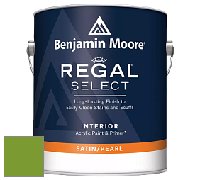 Benjamin Moore 550 Regal Select Waterborne Interior Pearl Finish краска цвет 2029-20 Baby Fern