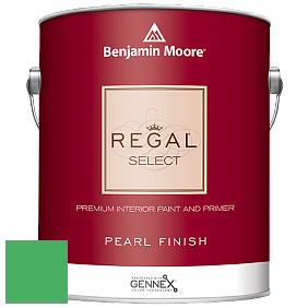Benjamin Moore 550 Regal Select Waterborne Interior Pearl Finish краска цвет NCS S 1070-G10Y 