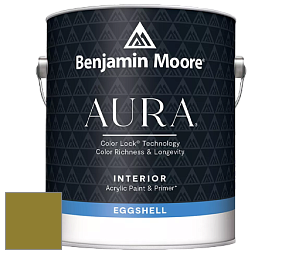 Benjamin Moore Aura 524 Waterborne Interior Eggshell Finish краска цвет NCS S 3560-G70Y 