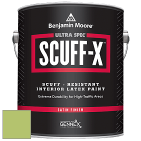Benjamin Moore 486 Ultra Spec SCUFF-X Interior Satin Finish краска цвет 2029-40 Stem Green