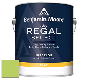 Benjamin Moore 547 Regal Select Waterborne Interior Flat Finish краска цвет NCS S 0560-G40Y 