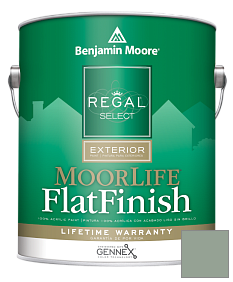 Краска Regal Select Exterior Paint-MoorLife Flat Finish (W105) цвет 698 Grenadier Pond