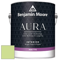 Benjamin Moore Aura 522 Interior Paint - Matte краска цвет NCS S 0540-G40Y 