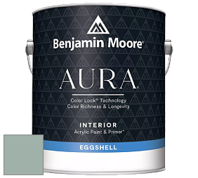 Benjamin Moore Aura 524 Waterborne Interior Eggshell Finish краска цвет NCS S 3010-B90G 