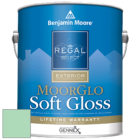 Benjamin Moore W096 Regal Select Exterior Paint-Moor GloSoft Gloss Finish краска цвет 2036-50 Marina Bay
