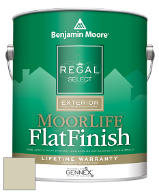 Benjamin Moore W105 Regal Select Exterior Paint-MoorLife Flat Finish краска цвет AF-435 
