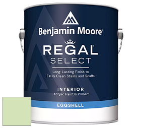 Benjamin Moore 549 Regal Select Waterborne Interior Eggshell Finish краска цвет 555 O'Reilly Green