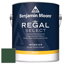 Benjamin Moore 547 Regal Select Waterborne Interior Flat Finish краска цвет NCS S 6530-G10Y 
