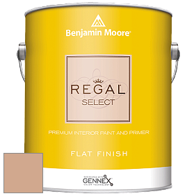 Benjamin Moore 547 Regal Select Waterborne Interior Flat Finish краска цвет AF-205 