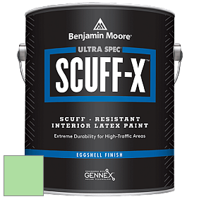 Benjamin Moore 485 Ultra Spec SCUFF-X Interior Eggshell Finish краска цвет NCS S 0540-G20Y 