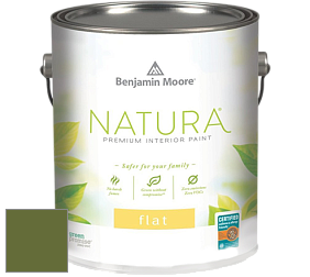 Benjamin Moore 512 Natura Interior Flat Finish матовая краска цвет NCS S 4550-G40Y 