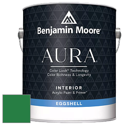 Benjamin Moore Aura 524 Waterborne Interior Eggshell Finish краска цвет NCS S 3065-G10Y 