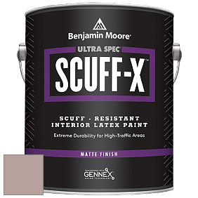 Benjamin Moore 484 Ultra Spec SCUFF-X Interior Matte Finish краска цвет NCS S 3010-Y90R 