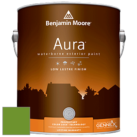 Benjamin Moore Aura 634 Waterborne Exterior Low Lustre Finish краска цвет 2029-10 Basil Green