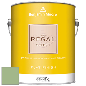 Benjamin Moore 547 Regal Select Waterborne Interior Flat Finish краска цвет NCS S 2030-G30Y 