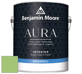 Benjamin Moore Aura 524 Waterborne Interior Eggshell Finish краска цвет NCS S 1050-G30Y 