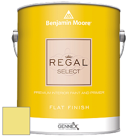 Benjamin Moore 547 Regal Select Waterborne Interior Flat Finish краска цвет NCS S 0540-G80Y 